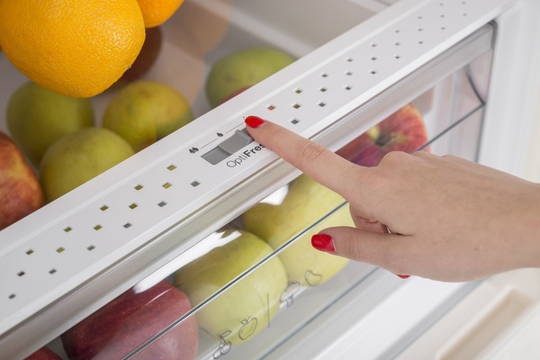 Холодильник Sharp SJ-BA10IHXJ1-UA Холодильник Sharp SJ-BA10IHXJ1-UA зображення 31