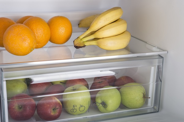 Холодильник Sharp SJ-BB02DTXW1-UA зображення 19