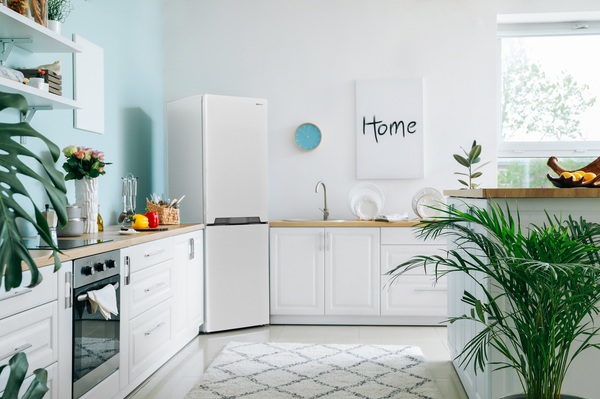 Холодильник Sharp SJ-BB02DTXW1-UA зображення 21